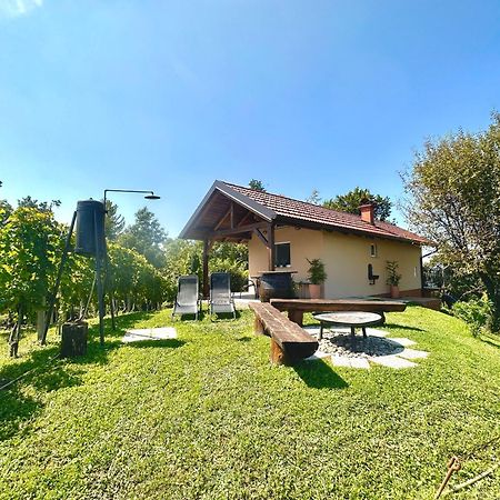 Holiday House Tomajna Podlehnik Exterior photo